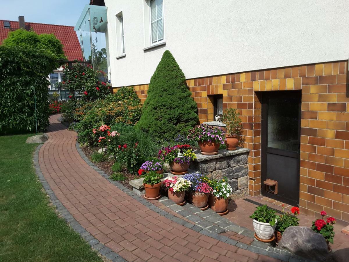 Ferienwohnung Schubert Sagard Zewnętrze zdjęcie